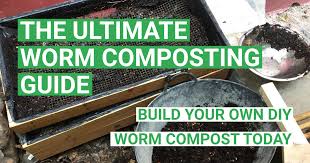 the ultimate worm composting guide