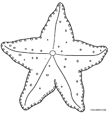 Sea star and shell, adult coloring page. Printable Starfish Coloring Pages For Kids