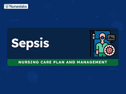 6 sepsis septicemia nursing diagnosis