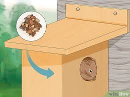 How To Build A Squirrel House 14 Steps
