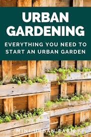 Urban Gardening For Beginners