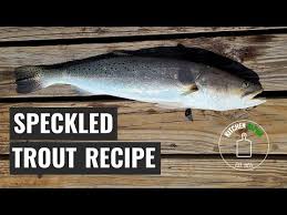 speckled trout recipe grilled fish on