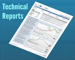Image result for technical reports