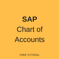 Sap Chart Of Accounts Free Sap Fi Training