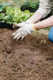Garden Soil For Planting