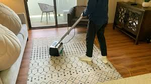 carpet cleaning master clean bay area