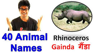 40 Animals Name In Hindi And English With Pictures Video