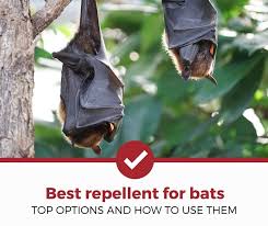 top 5 best repellents for bats 2023