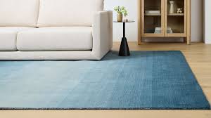 striped ombre rug west elm