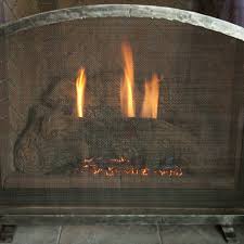 Arched Fireplace Screen Princeton Model