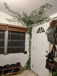 fake ivy on wall college room decor