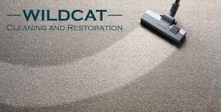 wildcat carpet cleaning tucson arizona