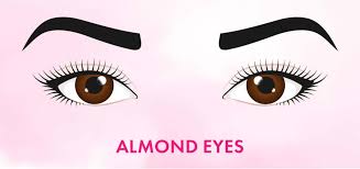 Beauty eye foundation magic sponge. Eyeshadow Tips To Flatter Every Single Eye Shape Blog Huda Beauty