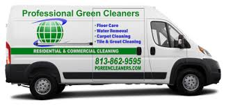 professional green cleaners