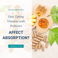 does taking vitamins with probiotics