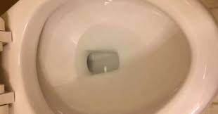 Toilet Leaking From Tank To Bowl Do