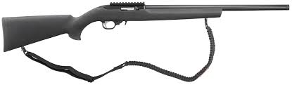 ruger 10 22 22 lr 31173