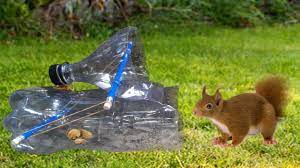 how to make squirrel trap with plastice