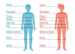 Boy And Girl Size Chart Human Front Side Silhouette