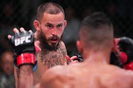 UFC Vegas 53: Pros react to Marlon Vera ...