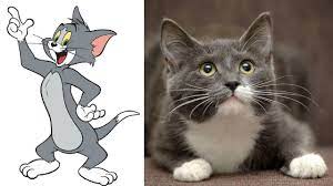 Tom and Jerry in Real Life ALL CHARACTERS - YouTube