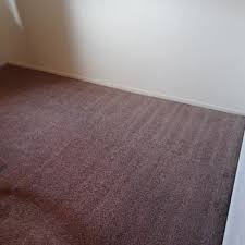 one stop carpet upholstery cleaning