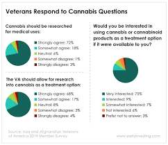 Veterans Are Very Interested In Medical Cannabis