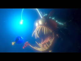 The film is a sequel to 2003's finding nemo, and this time centers around everyone's … Finding Nemo Youtube