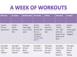 Fitness Workouts Planet Fitness Workouts For Beginners