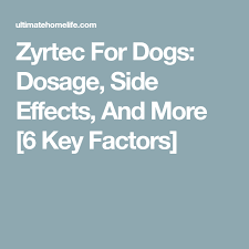 Zyrtec For Dogs Dosage Side Effects And More 6 Key