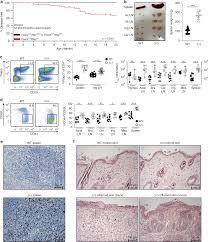 Rbpj Expression In Regulatory T Cells Is Critical For