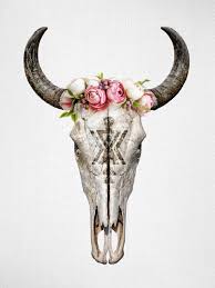 Fl Cow Skull Posters Art Prints