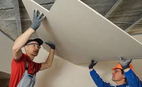 Mold Resistant Drywall Is It Worth It
