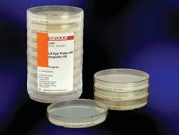 lb agar icillin 100 plates sterile