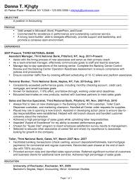 Resume Writing Rochester Ny   Professional resumes example online