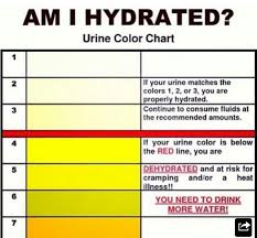 Am I Hydrated Urine Color Chart Healthy Drinks Drinking