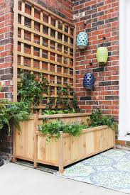 In this case, the trellis was affixed to the wall of the house instead of being set on the ground. Tiered Planter With Trellis Shades Of Blue Interiors