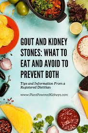 gout and kidney stones what to eat and