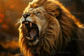 majestic lion roars