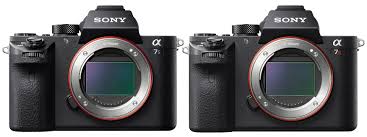 Sony A7s Ii Vs A7r Ii Test Which One Is Right For You