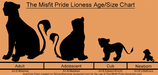 Lioness Age Size Chart By Wolvenremorse Size Chart Chart