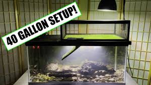 40 gallon starter turtle tank setup