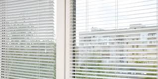Windows With Built In Blinds Window