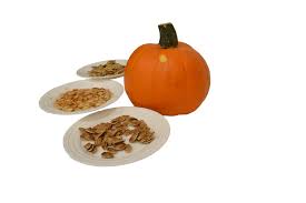putting leftover pumpkin seeds to good