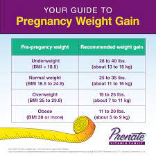 guide to pregnancy weight gain