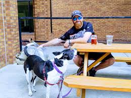 dog friendly breweries in fort collins