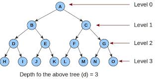In a binary tree degree/branches of any. Would You Call It Level Or Depth Stack Overflow