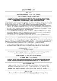 SAMPLE RESUME  Healthcare Executive Tax Director Sample Resume Page     Professional    