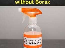 homemade ant without borax
