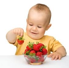 Baby Led Weaning Your Questions Answered